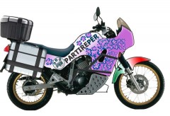 gionata nencini, partireper.it, un viaggio nel mondo in moto, honda transalp xl600v, progetto motato