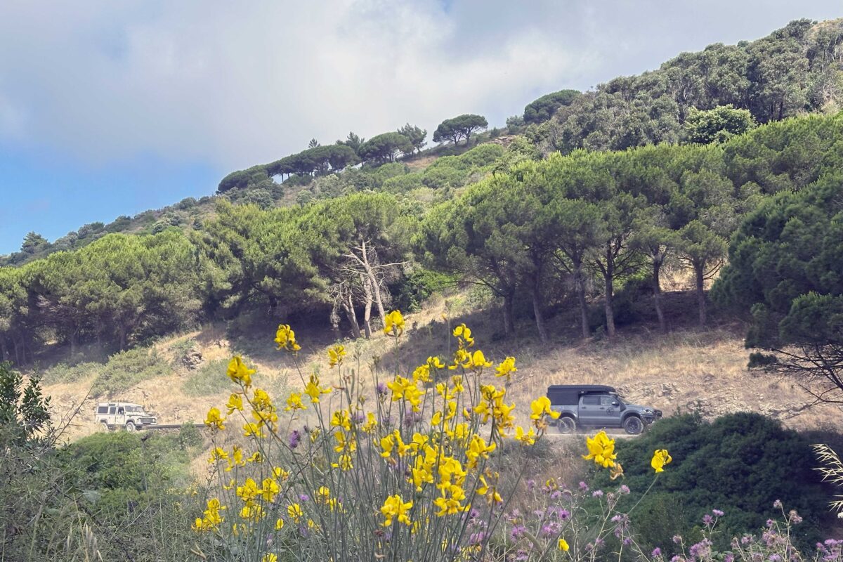 WILD Isola d'Elba in 4x4 - immagine 10