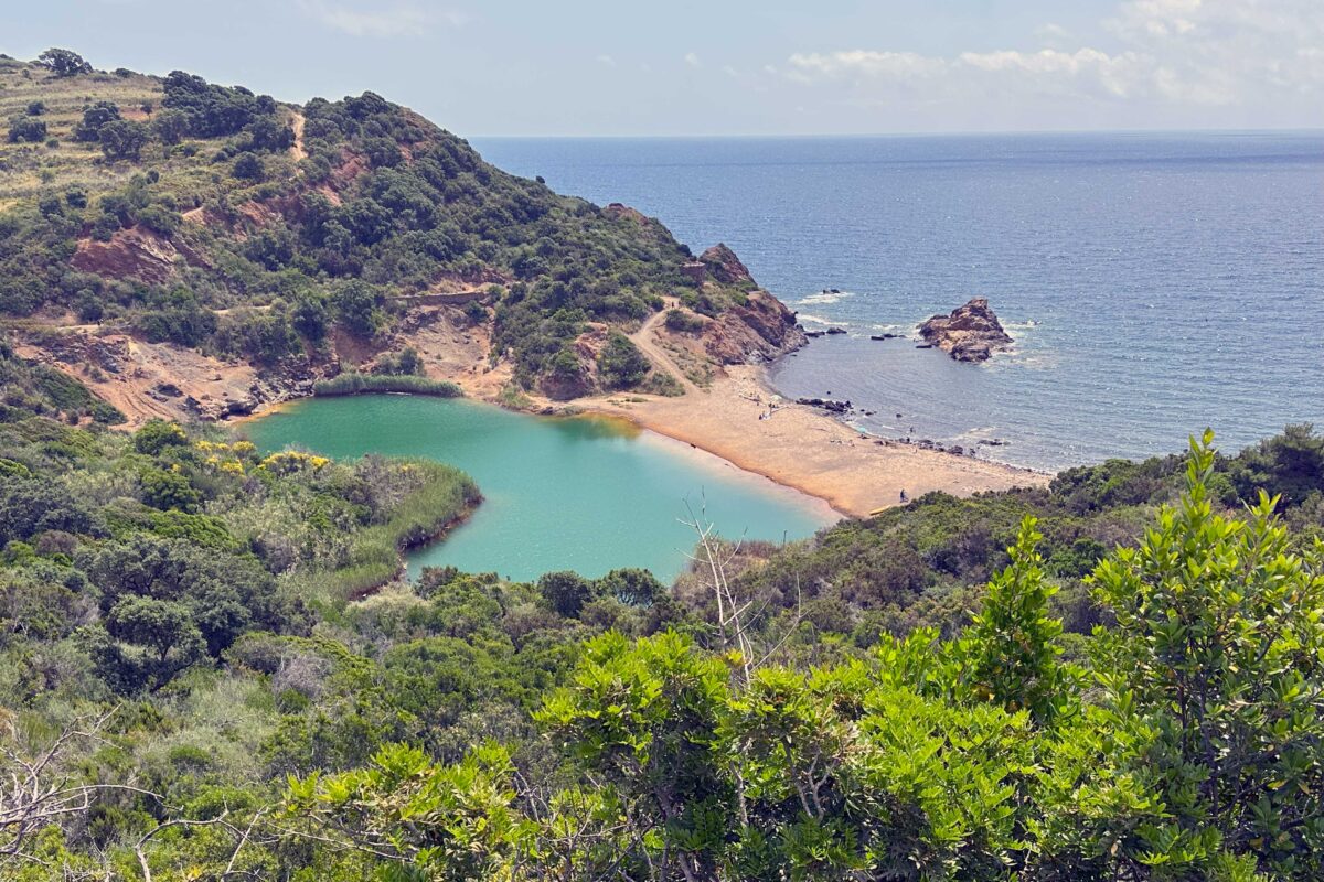 WILD Isola d'Elba in 4x4 - immagine 11
