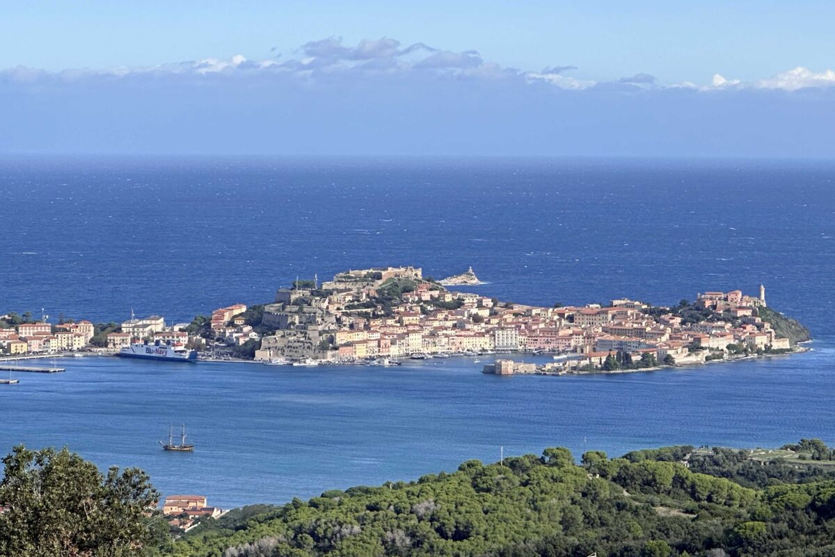 WILD Isola d'Elba in 4x4 - immagine 13