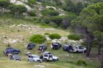 WILD Isola d'Elba in 4x4 - immagine 18